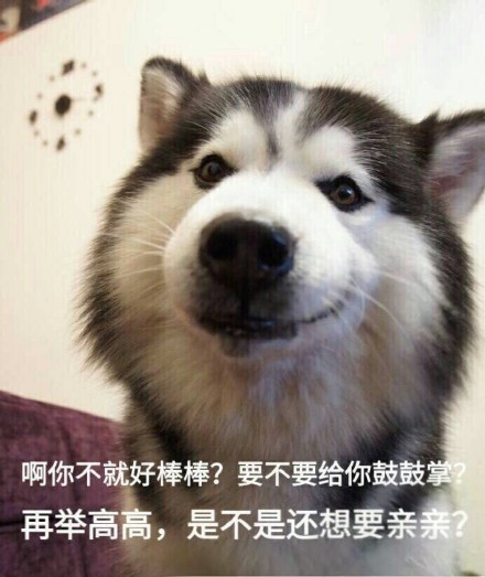 啊你不就好棒棒？要不要给你鼓鼓掌举高高？这套聊天表情包太会整活啦