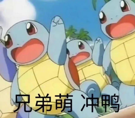 聊天斗图必备！杰尼龟表情包合集来啦