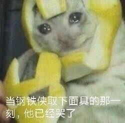 4月10日斗图表情包合集来啦