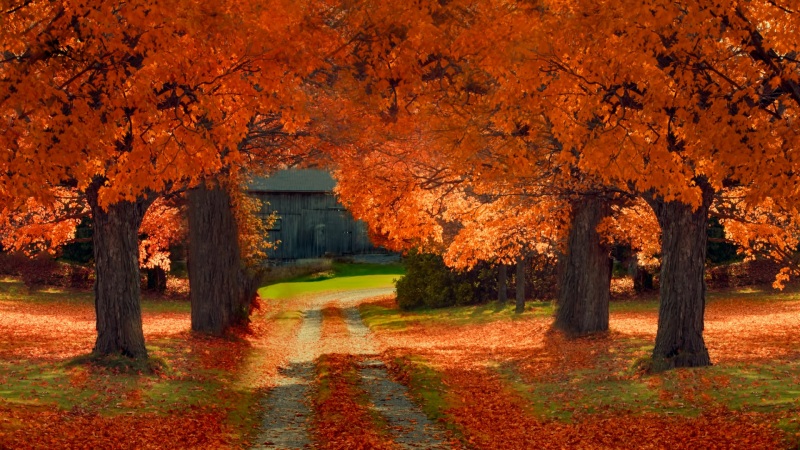 秋日道路房屋风景 多款高清电脑桌面壁纸