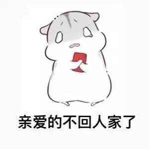 情侣互动专用小兔表情包合集