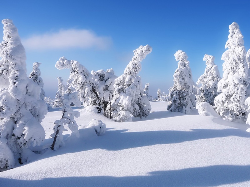 被白雪覆盖的绝美风景壁纸分享