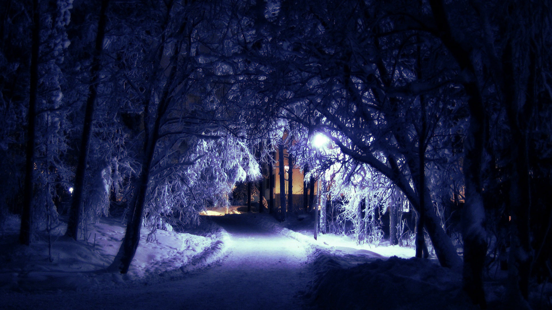 冬日深夜静谧感电脑壁纸