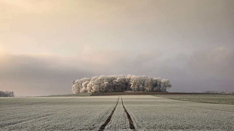 天灰灰的农场树林 适合当电脑桌面的动漫风景壁纸