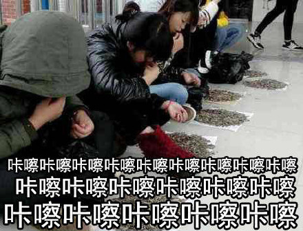聊天吃瓜必存的咔嚓系列表情包
