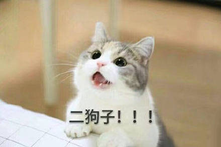 超甜！这套“老公老公我爱你”表情包太适合撩喜欢的人了