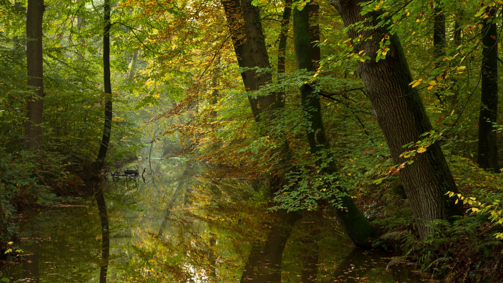 秋日森林静谧河流 自然风景电脑壁纸合集