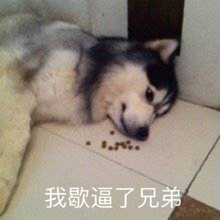 7月8日斗图表情包合集来啦