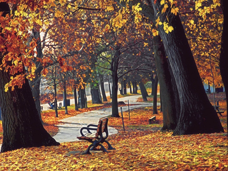 年10月秋天风景壁纸推荐 有多种高清分辨率可选