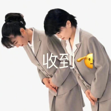 打工人专属！这套低头认错表情包太戳心了