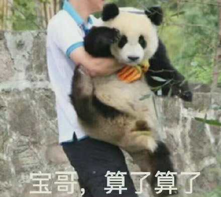 聊天斗图必备！“大哥 算了算了”系列表情包合集