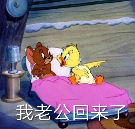 1月27日斗图表情包合集来啦