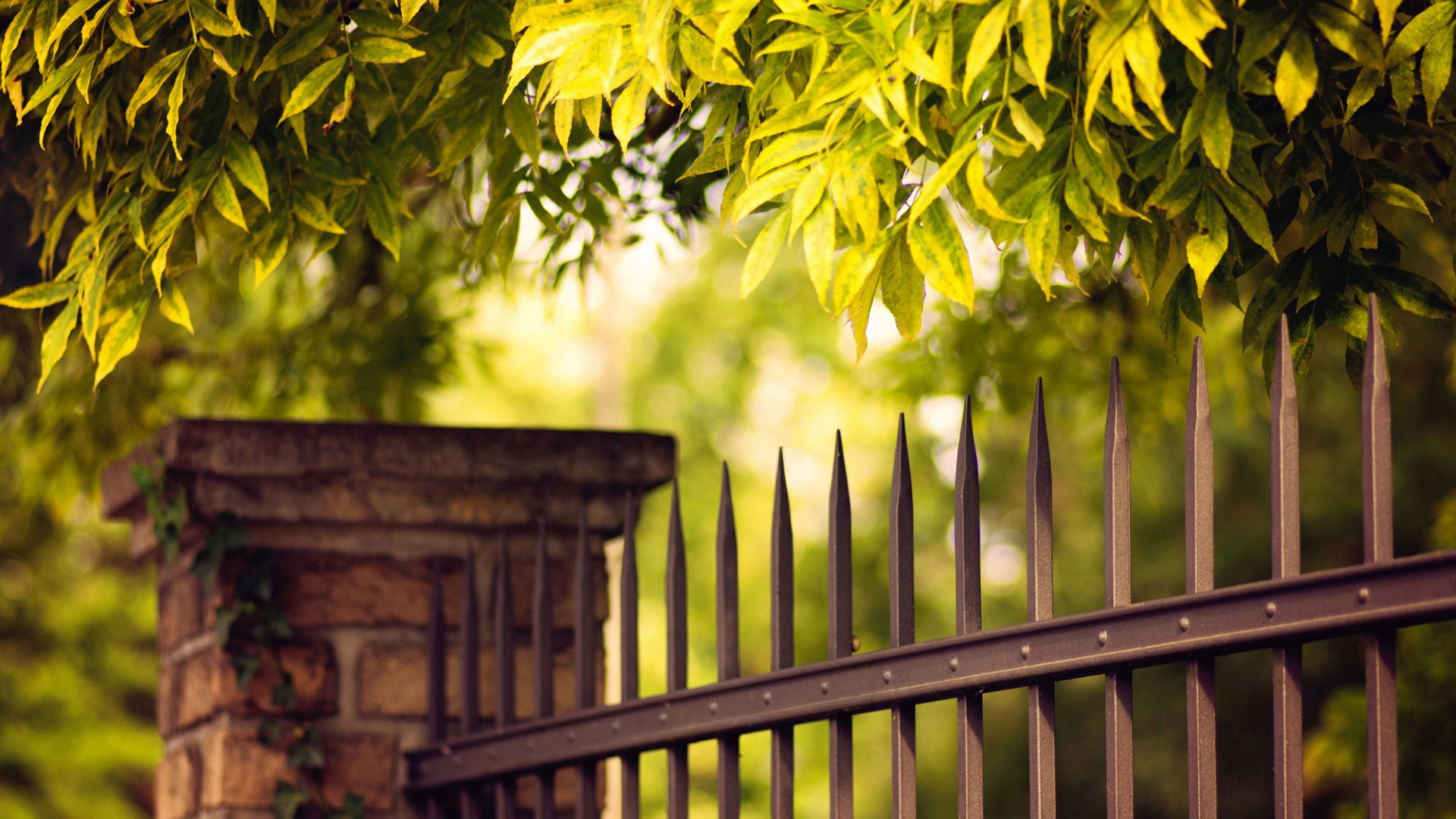 带金属围栏和城墙的秋日树叶风景壁纸合集