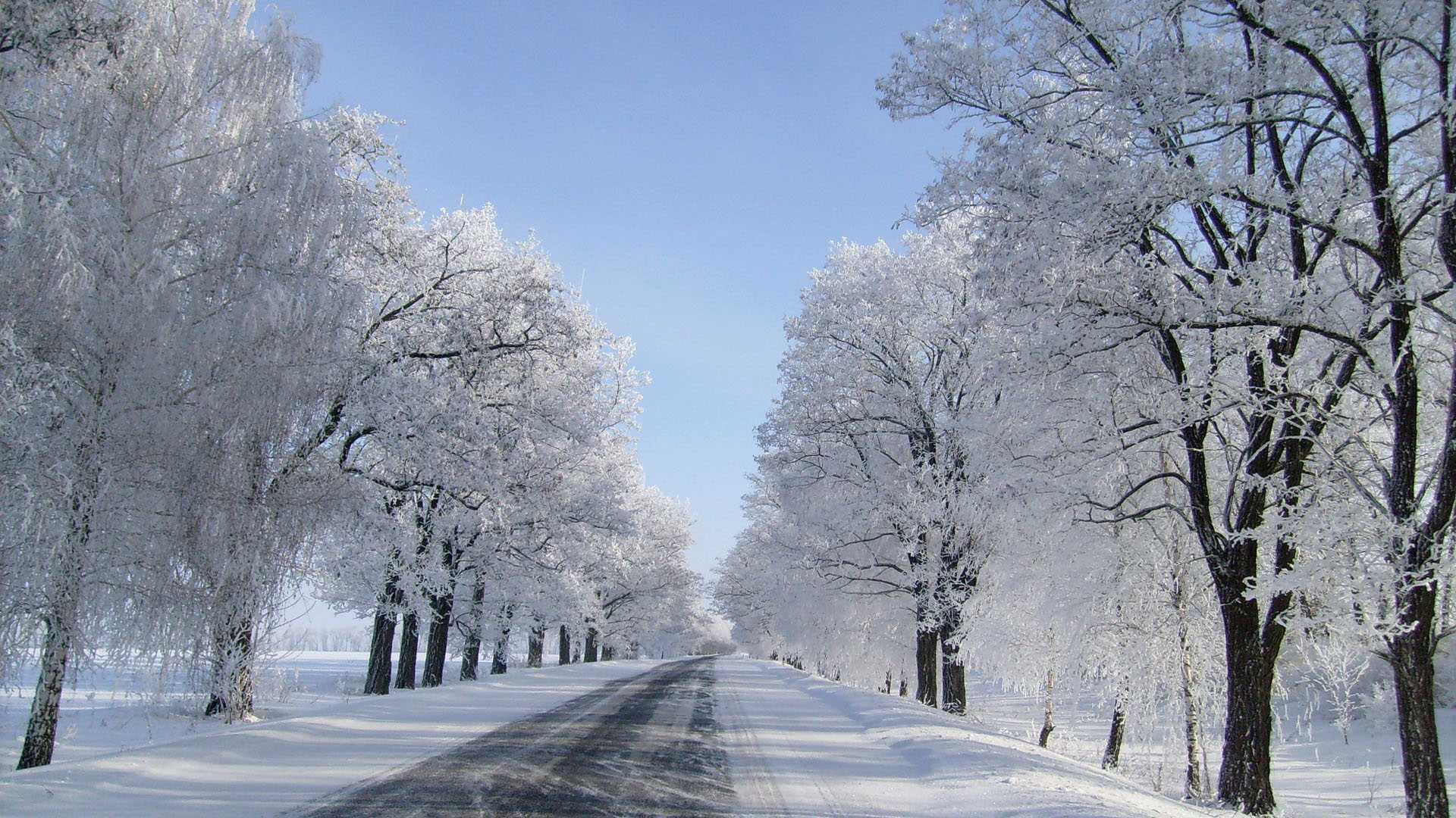 下雪后公路绝美风景电脑动漫壁纸来啦