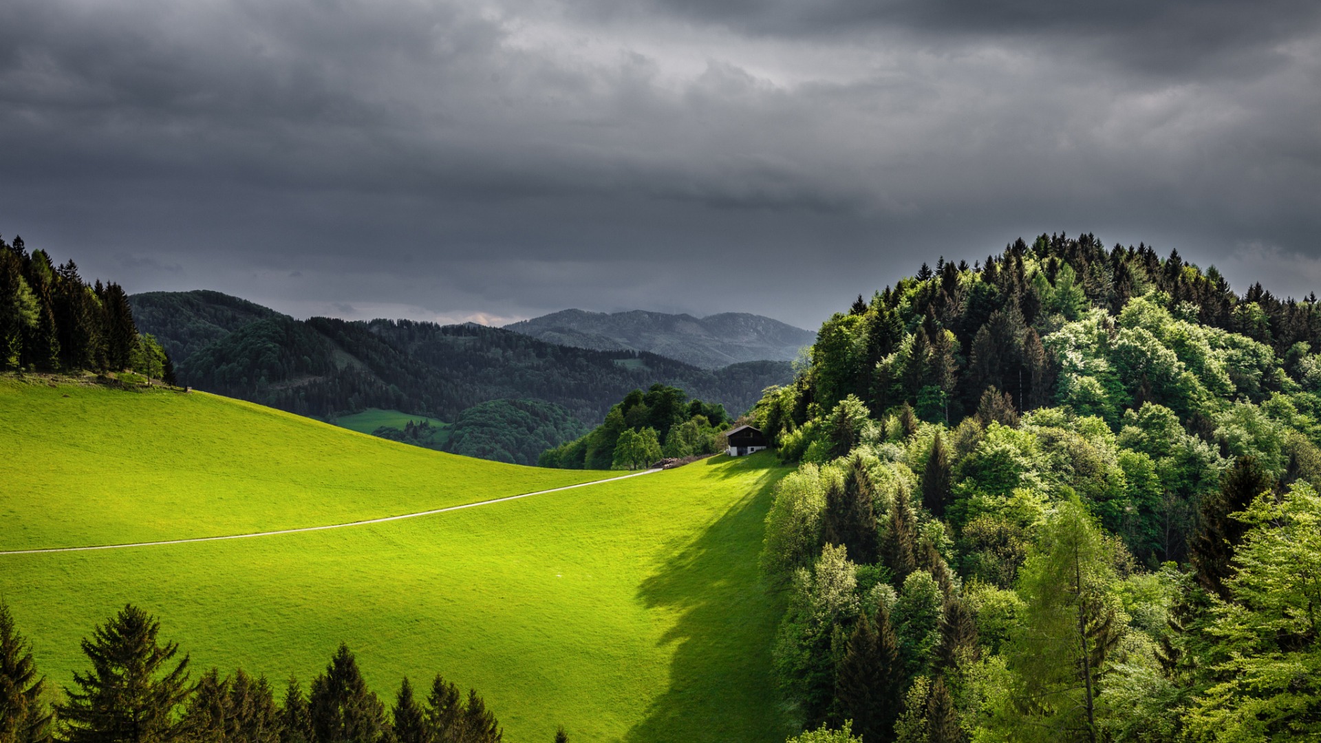 春日山野林间路景电脑壁纸