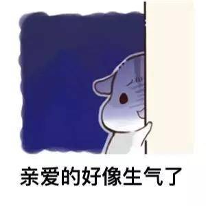 情侣互动专用小兔表情包合集