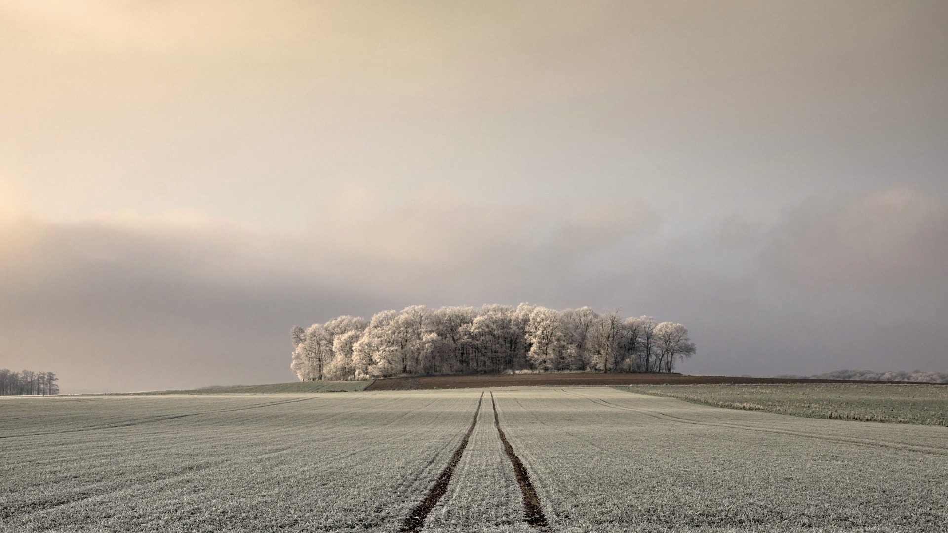 天灰灰的农场树林 适合当电脑桌面的动漫风景壁纸