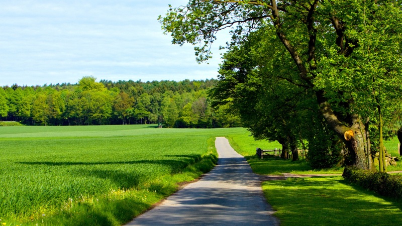 夏日乡间道路风景 电脑动漫桌面壁纸