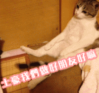 这套魔性动态表情包，斗图聊天都能用