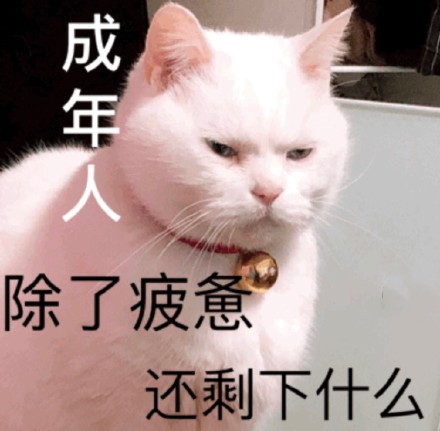 聊天斗图必备！这套猫咪表情包太好用了