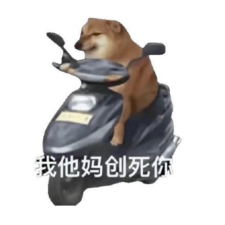 骑车狂飙的沙雕摩的狗表情包火了