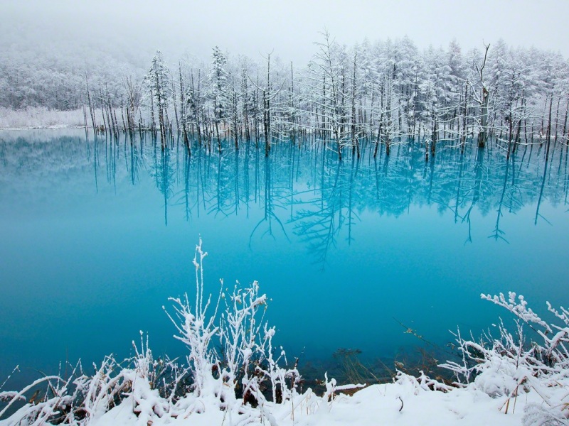 北海道冬日湖景雪景壁纸