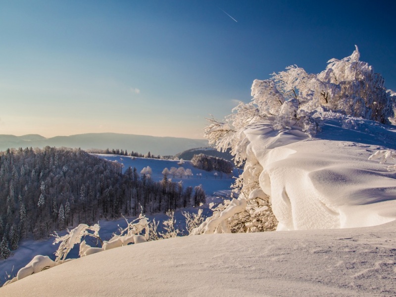 这款冬日雪山树林壁纸太适合当电脑桌面了