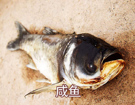 万圣节不用化妆就能玩的cos梗来了！