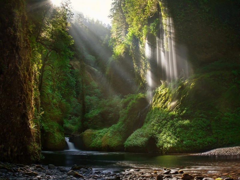 瀑布森林山谷阳光！这套动漫风桌面壁纸太治愈了