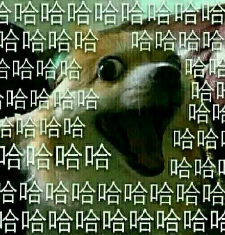 当朋友撞见你出丑时，这套大笑表情包太应景了