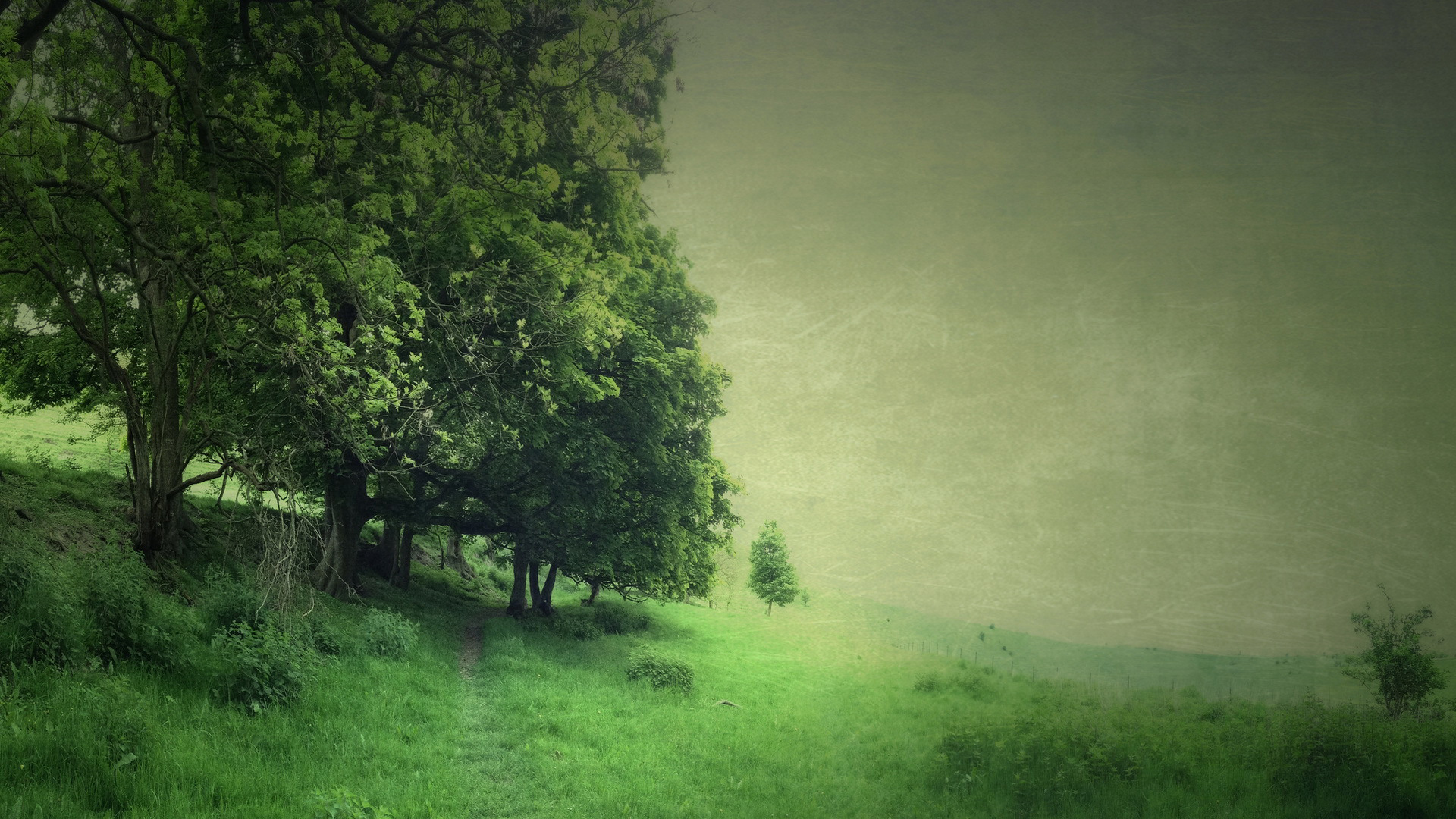 树木田野草地小路风景电脑桌面动漫壁纸