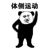 用第八套广播体操