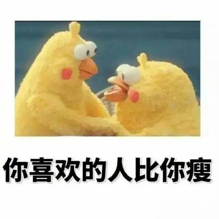 鹦鹉兄弟版“偷偷告诉你”表情包来啦