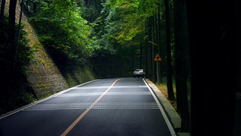 氛围感拉满！幽深森林公路电脑动漫壁纸分享