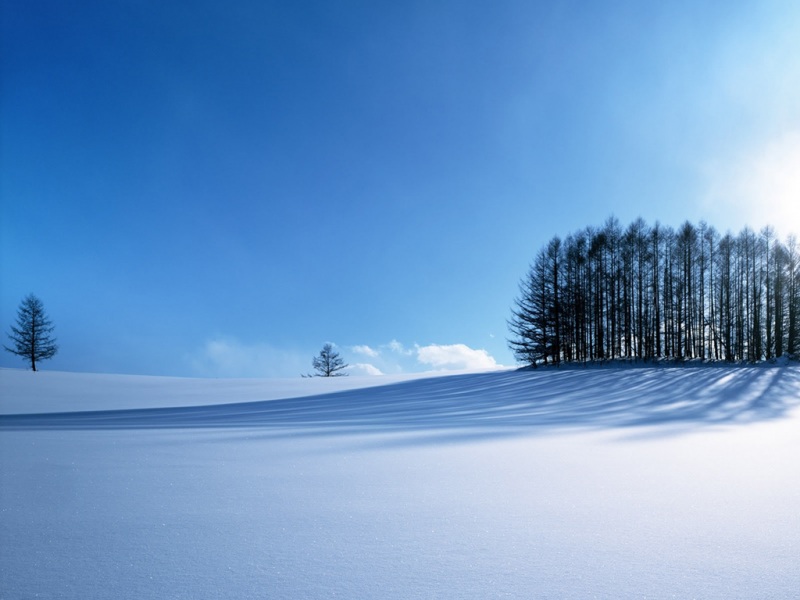氛围感拉满！景观雪主题电脑动漫壁纸推荐