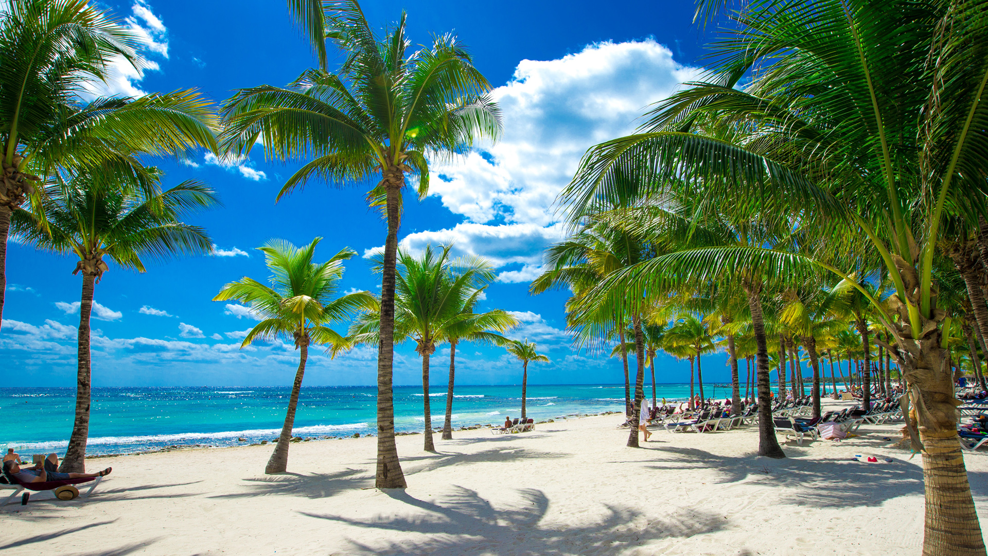 热带海滨治愈风景电脑动漫壁纸推荐