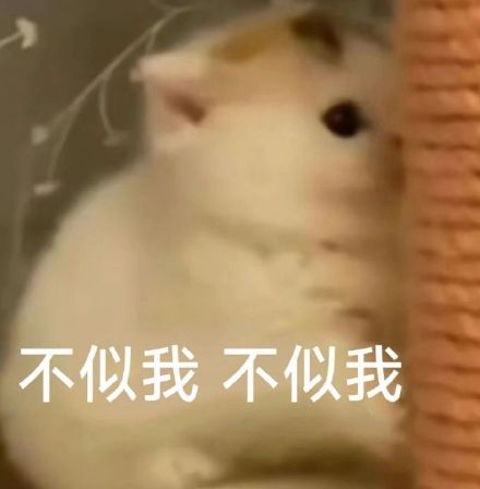 最近聊天斗图都在用的热门表情包整理