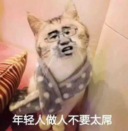 聊天斗图必备！这套魔性变脸猫表情包太上头了