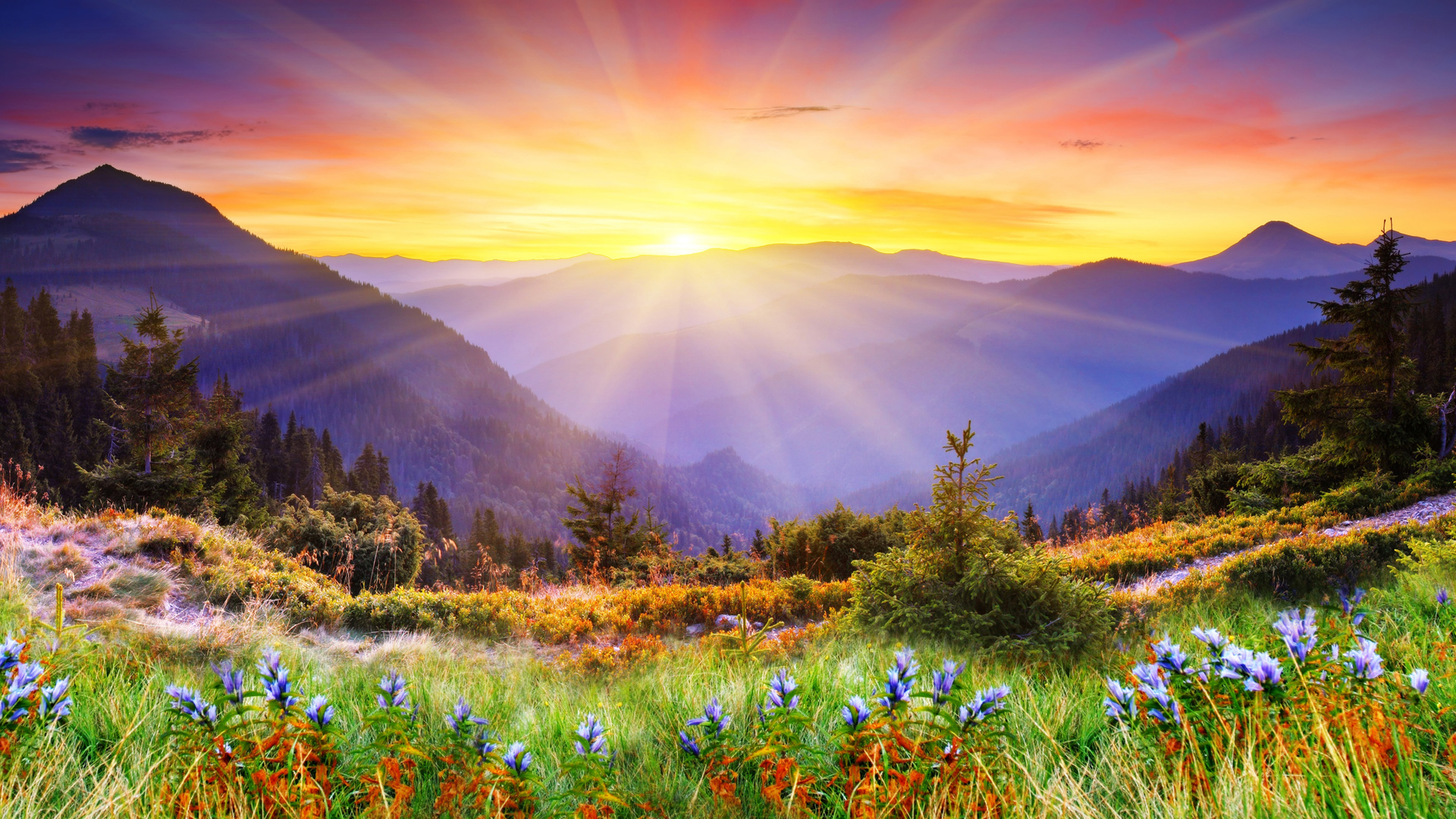 晨间山间阳光电脑壁纸