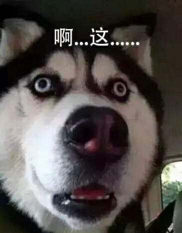 “啊这”爆火斗图圈！最全表情包合集来了