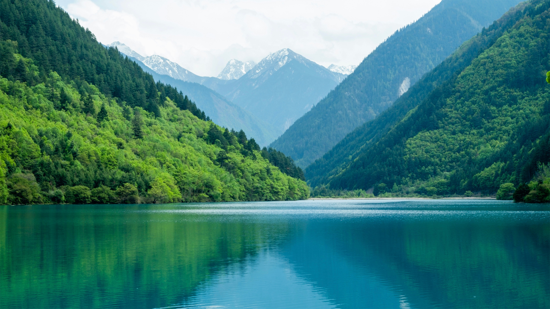 护眼又好看！青山绿水山川自然风景电脑动漫壁纸合集