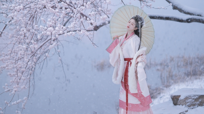 冬日雪落梅开 撑伞古装古风美女意境壁纸
