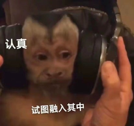 聊天斗图别愁！这套沙雕猴吗喽表情包太好用了