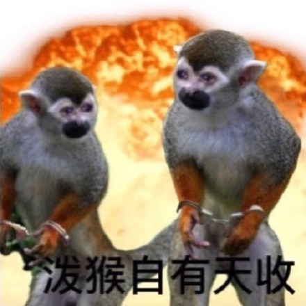 聊天斗图别愁！这套猴猴表情包帮你精准传情