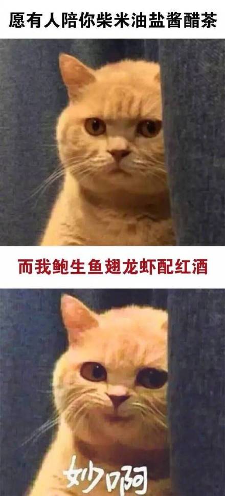 这款“真是妙啊”表情包火了，怼人摆烂都能用
