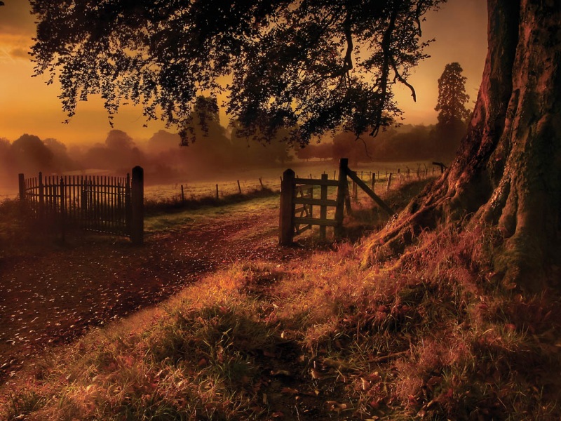 夕阳小路风景电脑动漫壁纸来啦