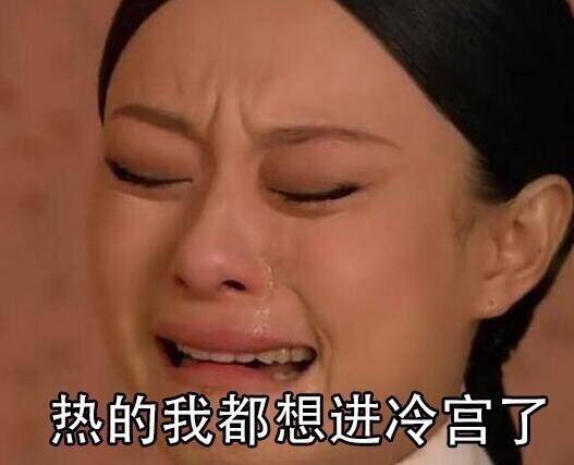 夏天出门约饭的都是真爱