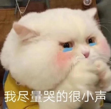 猫咪哭泣流泪猫猫头表情包合集来啦