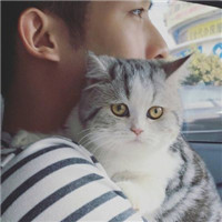 42张抱猫情侣头像来啦！一男一女超有爱超好看
