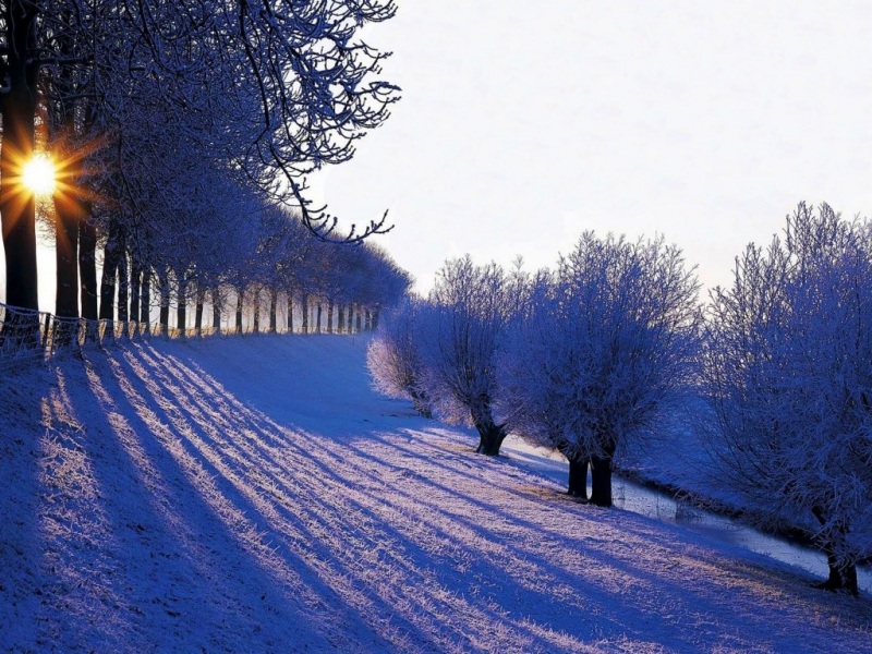 冬日山林雪景电脑壁纸！氛围感拉满的治愈系桌面背景